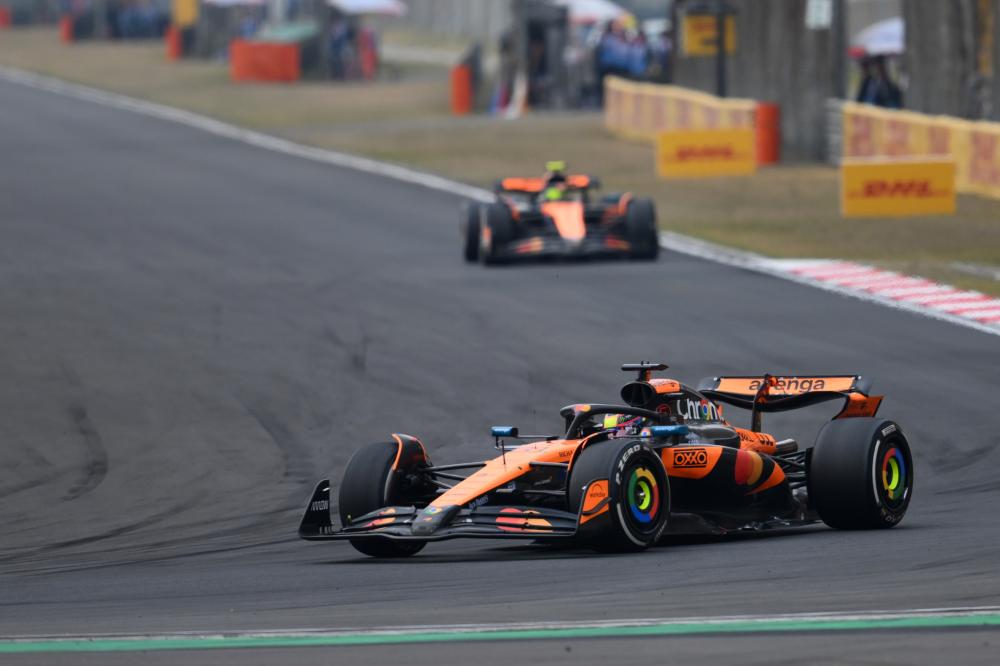 也展示了活 也展示了活