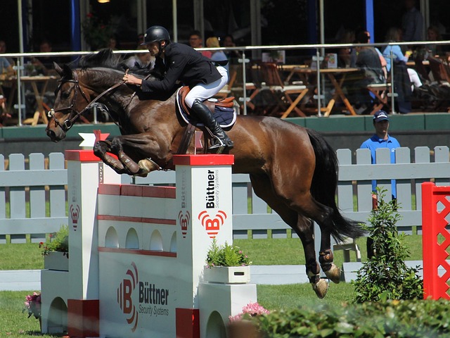 击败强敌的 击败强敌的