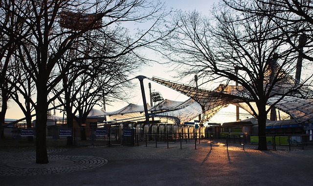 迈阿密训练 迈阿密训练