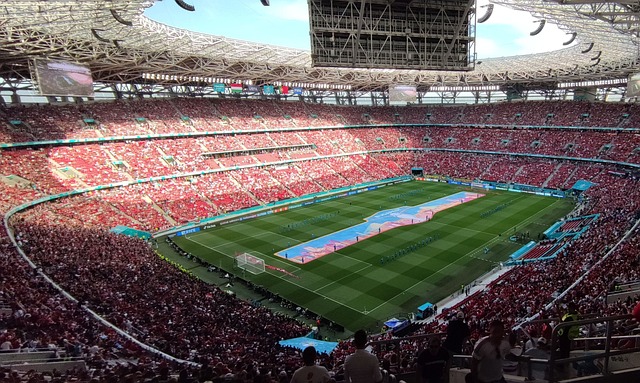 囧哥善于观 囧哥善于观