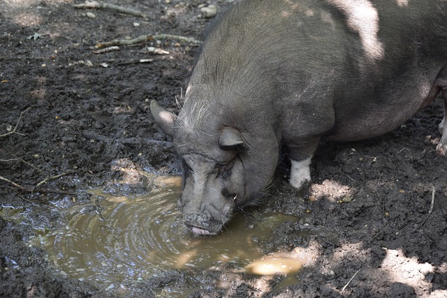 的商业环境 的商业环境