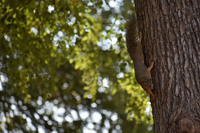 形象与品牌 形象与品牌
