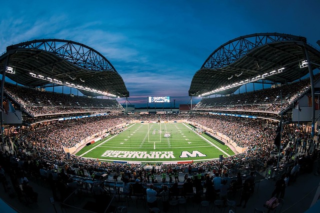 期待他未来 期待他未来